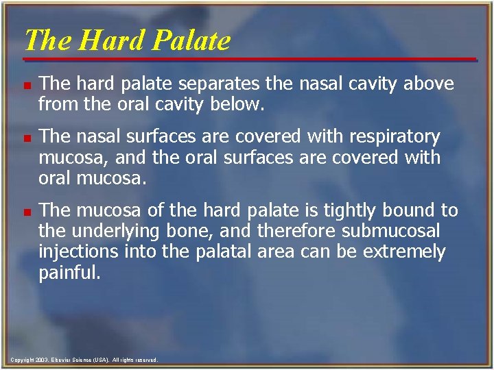 The Hard Palate n n n The hard palate separates the nasal cavity above The Hard Palate n n n The hard palate separates the nasal cavity above