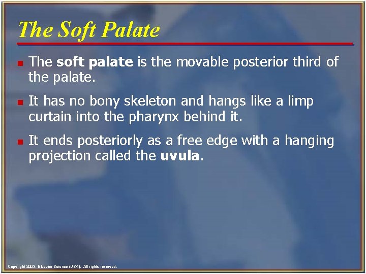 The Soft Palate n n n The soft palate is the movable posterior third The Soft Palate n n n The soft palate is the movable posterior third