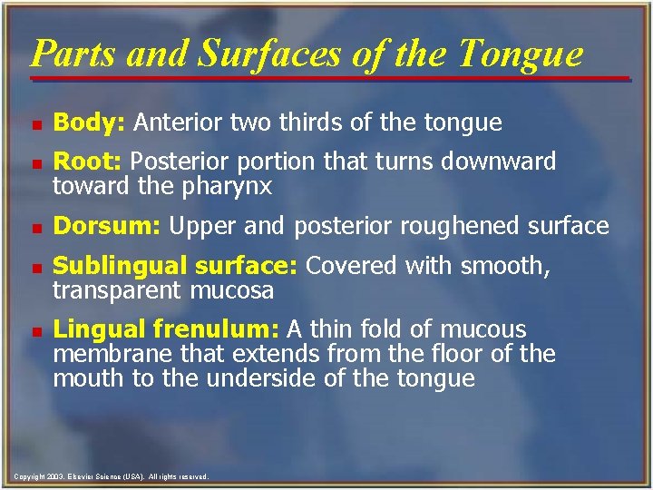 Parts and Surfaces of the Tongue n Body: Anterior two thirds of the tongue Parts and Surfaces of the Tongue n Body: Anterior two thirds of the tongue