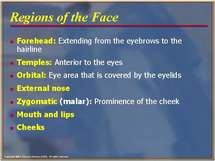 Regions of the Face n Forehead: Extending from the eyebrows to the hairline n Regions of the Face n Forehead: Extending from the eyebrows to the hairline n
