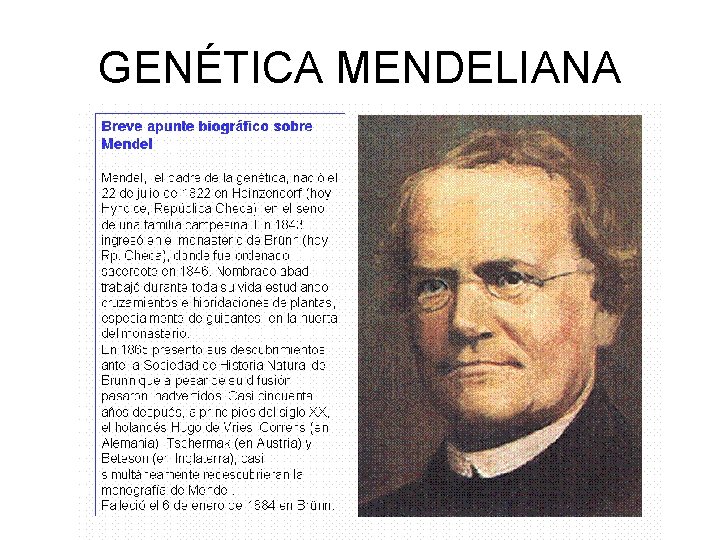 GENÉTICA MENDELIANA 