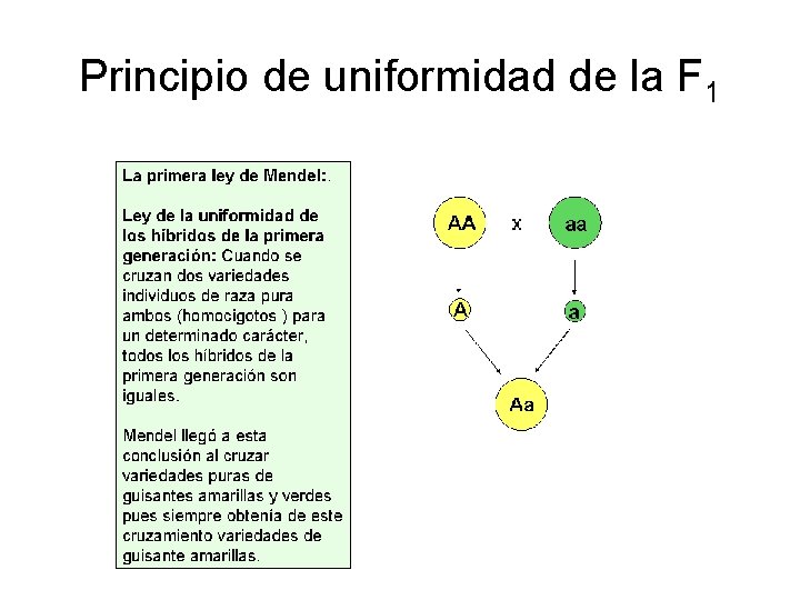 Principio de uniformidad de la F 1 