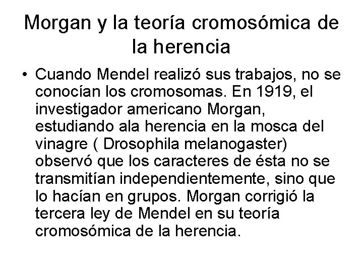 Morgan y la teoría cromosómica de la herencia • Cuando Mendel realizó sus trabajos, Morgan y la teoría cromosómica de la herencia • Cuando Mendel realizó sus trabajos,