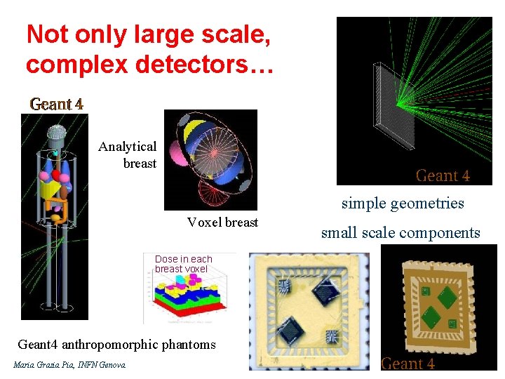 Not only large scale, complex detectors… Analytical breast simple geometries Voxel breast small scale