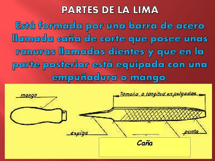 PARTES DE LA LIMA Está formada por una barra de acero llamada caña de