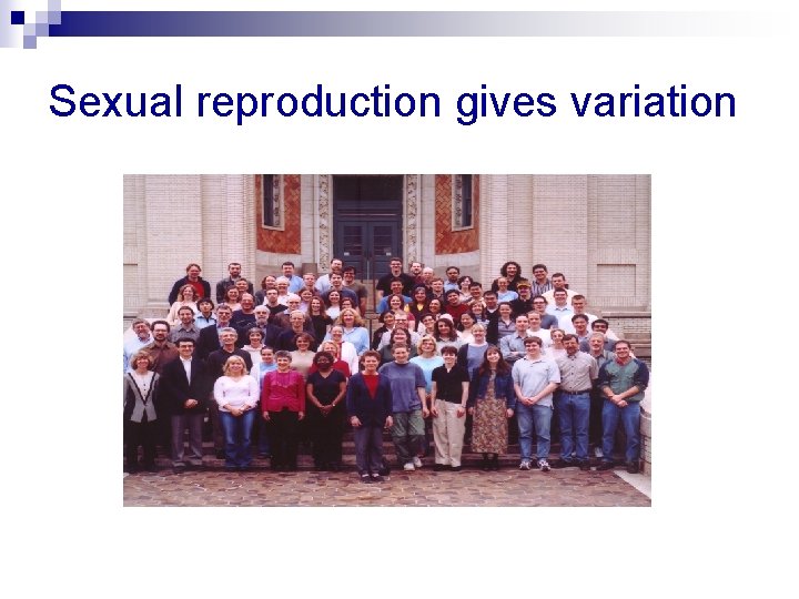 Sexual reproduction gives variation 