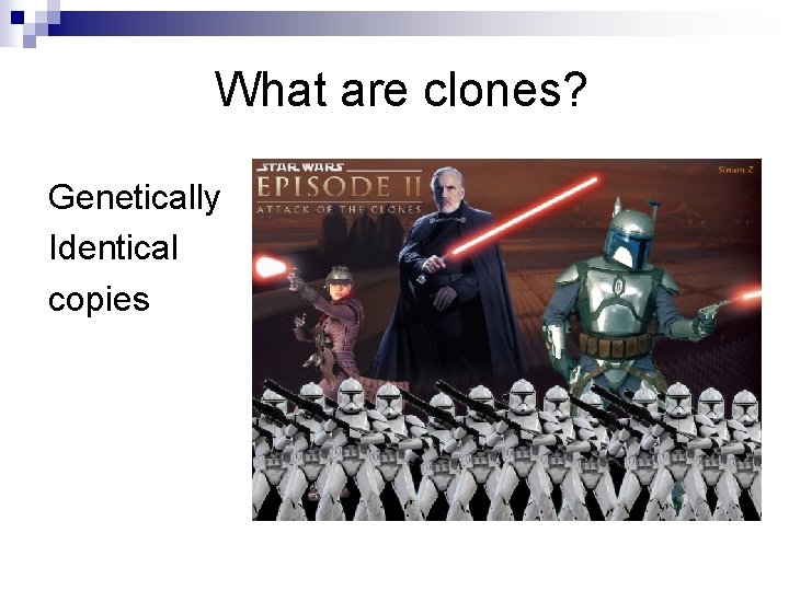 What are clones? Genetically Identical copies 