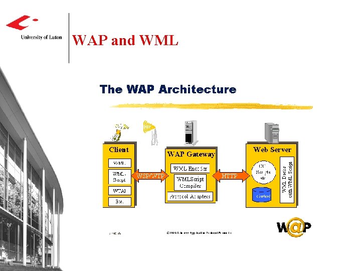 WAP and WML WAP and WML