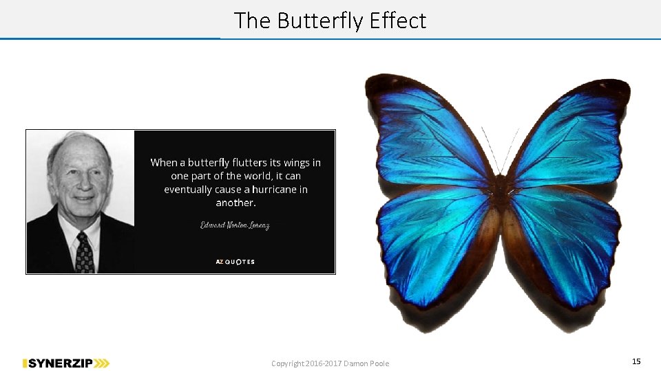 The Butterfly Effect Copyright 2016 -2017 Damon Poole 15 