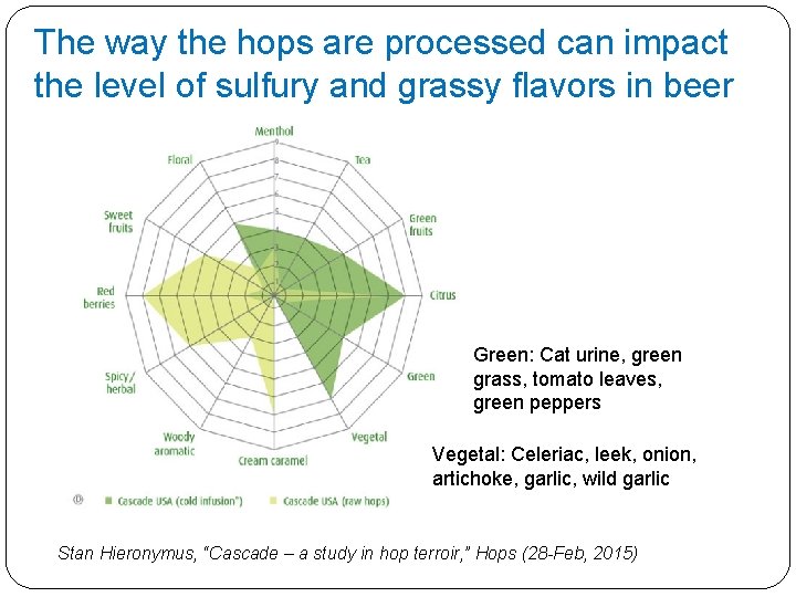 The way the hops are processed can impact the level of sulfury and grassy