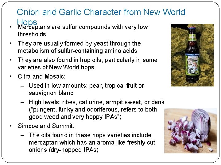  • Onion and Garlic Character from New World Hops Mercaptans are sulfur compounds