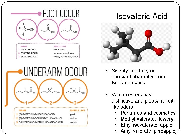 Isovaleric Acid • Sweaty, leathery or barnyard character from Brettanomyces • Valeric esters have