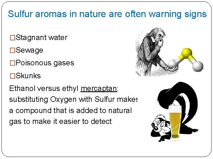 Sulfur aromas in nature are often warning signs �Stagnant water �Sewage �Poisonous gases �Skunks