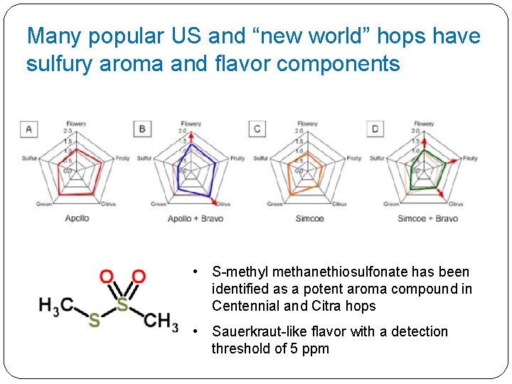 Many popular US and “new world” hops have sulfury aroma and flavor components •