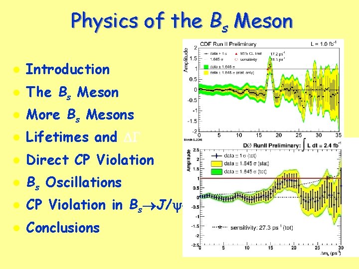 Physics of the Bs Meson l Introduction l The Bs Meson l More Bs