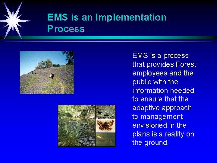 EMS is an Implementation Process EMS is a process that provides Forest employees and