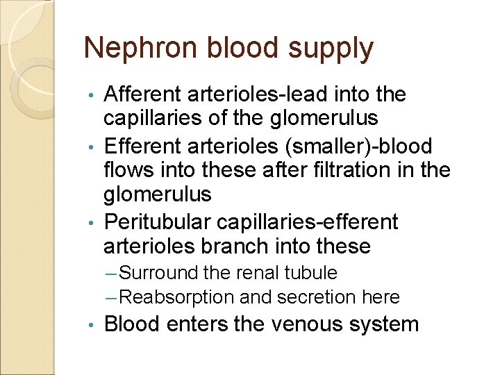 Nephron blood supply Afferent arterioles-lead into the capillaries of the glomerulus • Efferent arterioles