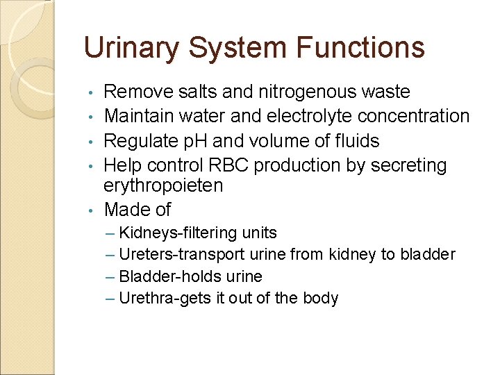 Urinary System Functions • • • Remove salts and nitrogenous waste Maintain water and