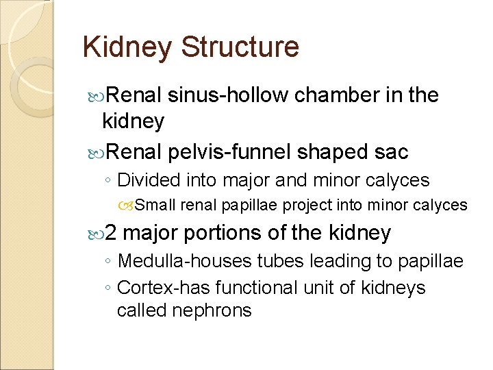 Kidney Structure Renal sinus-hollow chamber in the kidney Renal pelvis-funnel shaped sac ◦ Divided