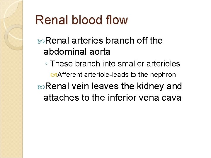 Renal blood flow Renal arteries branch off the abdominal aorta ◦ These branch into