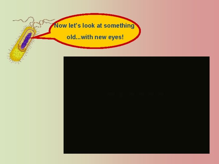 Now let’s look at something old. . . with new eyes! 