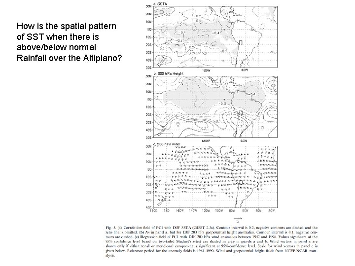 How is the spatial pattern of SST when there is above/below normal Rainfall over