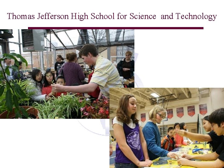 Thomas Jefferson High School for Science and Technology 3 