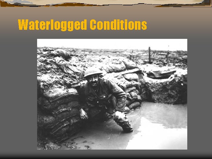 Waterlogged Conditions 