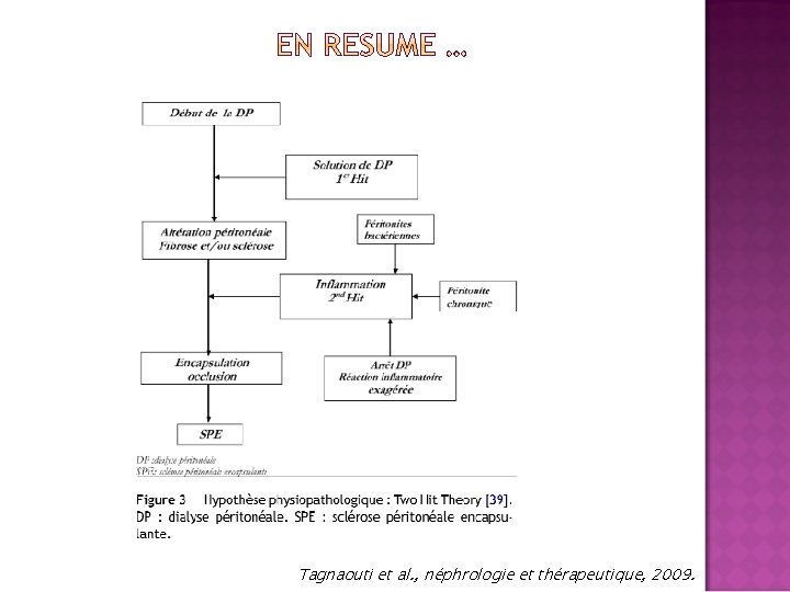 Tagnaouti et al. , néphrologie et thérapeutique, 2009. 