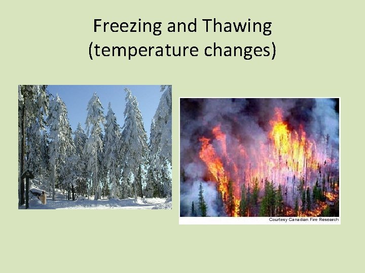 Freezing and Thawing (temperature changes) 