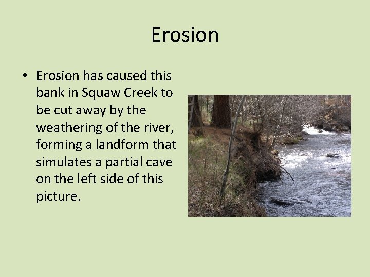 Erosion • Erosion has caused this bank in Squaw Creek to be cut away