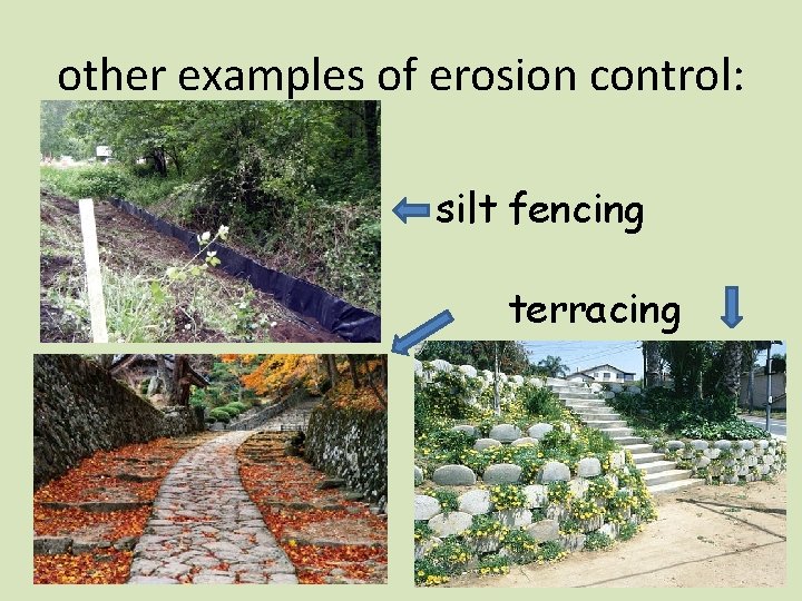 other examples of erosion control: silt fencing terracing 