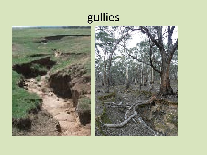 gullies 