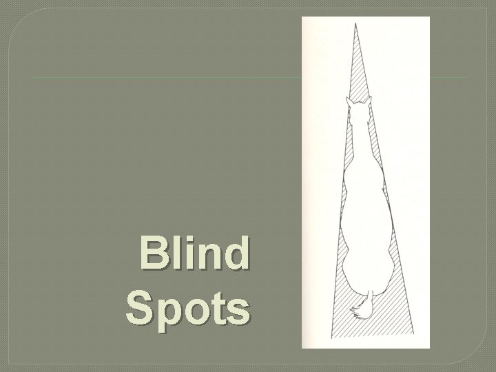 Blind Spots 