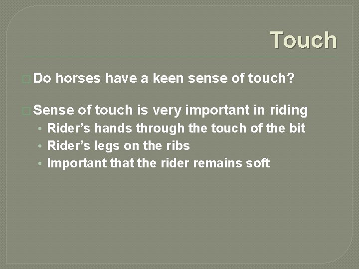 Touch � Do horses have a keen sense of touch? � Sense of touch