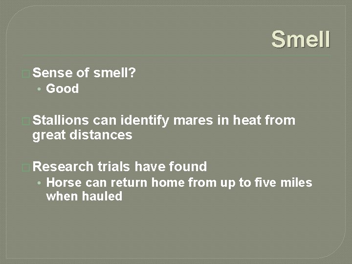Smell � Sense of smell? • Good � Stallions can identify mares in heat