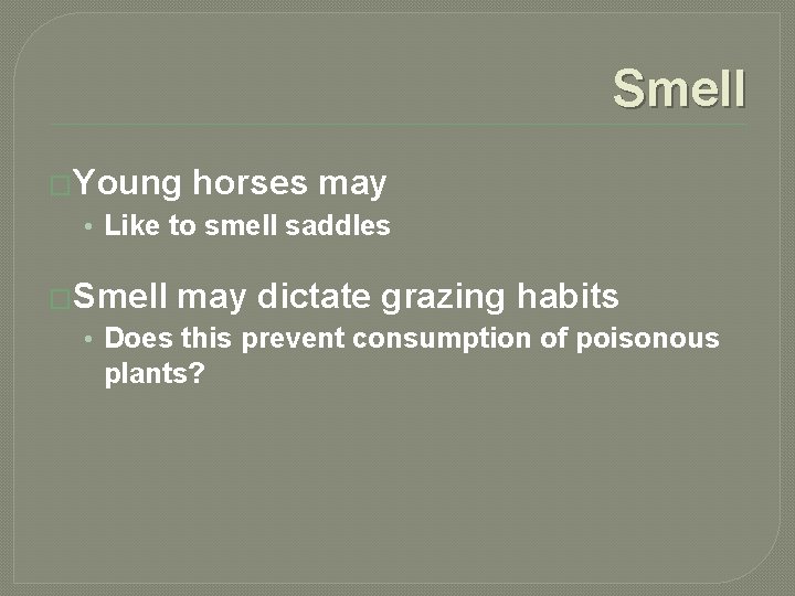 Smell �Young horses may • Like to smell saddles �Smell may dictate grazing habits