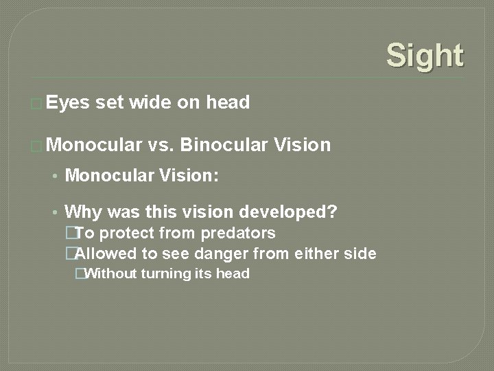 Sight � Eyes set wide on head � Monocular vs. Binocular Vision • Monocular