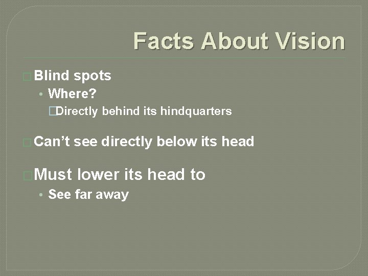 Facts About Vision � Blind spots • Where? �Directly behind its hindquarters � Can’t
