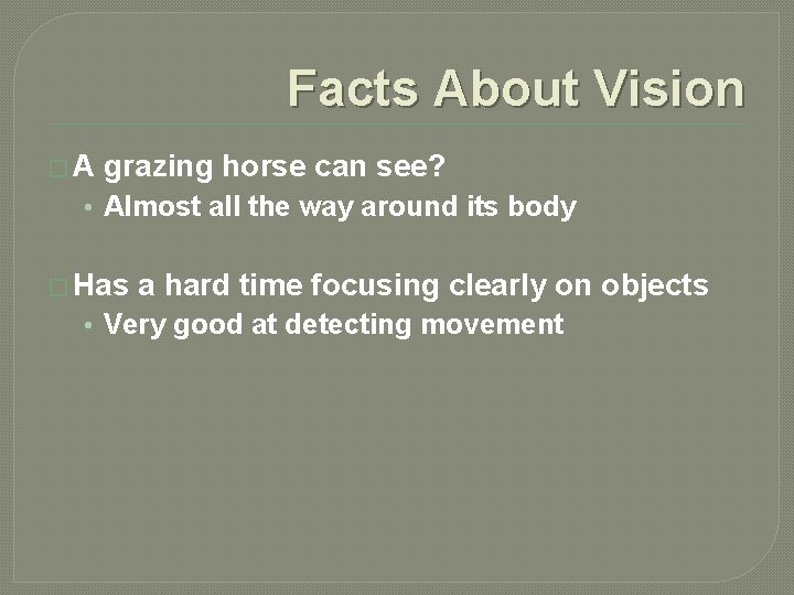 Facts About Vision �A grazing horse can see? • Almost all the way around