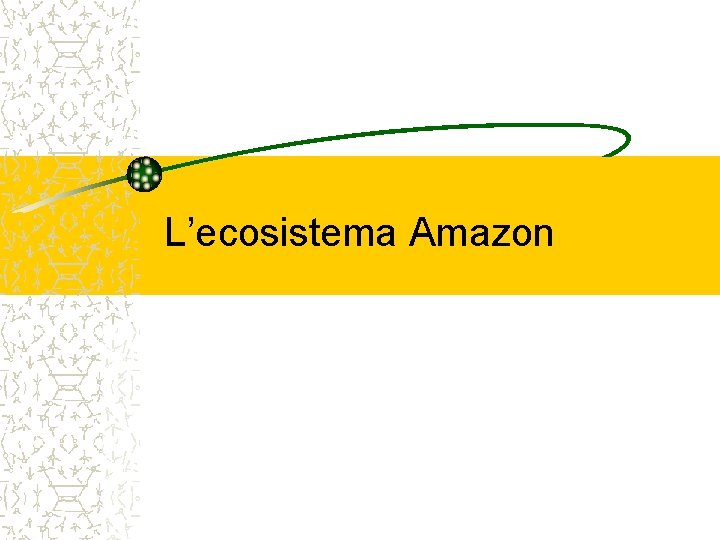 L’ecosistema Amazon 