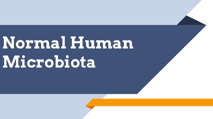Normal Human Microbiota 