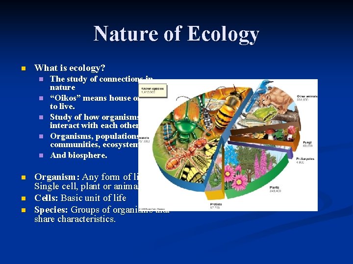 Nature of Ecology n What is ecology? n n n n The study of