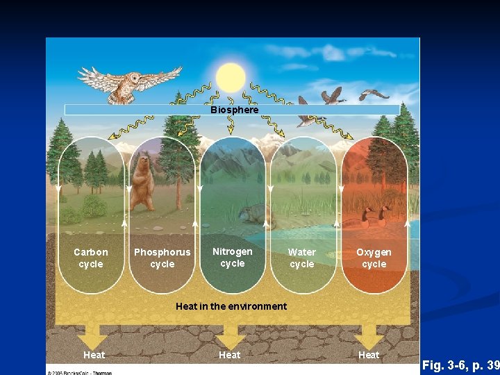Biosphere Carbon cycle Phosphorus cycle Nitrogen cycle Water cycle Oxygen cycle Heat in the