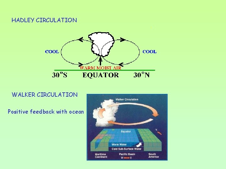 HADLEY CIRCULATION WALKER CIRCULATION Positive feedback with ocean 
