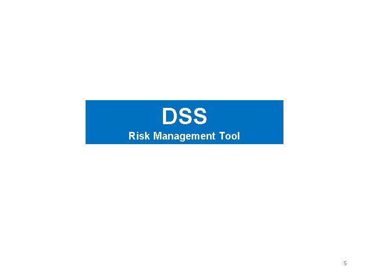 DSS Risk Management Tool 5 