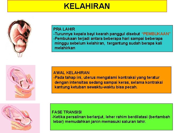 KELAHIRAN PRA LAHIR -Turunnya kepala bayi kearah panggul disebut “PEMBUKAAN” -Pembukaan terjadi antara beberapa