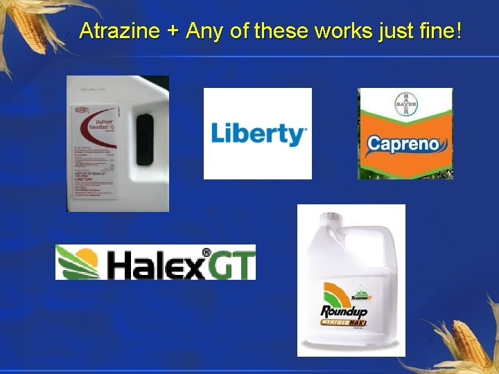 Atrazine + Any of these works just fine! 