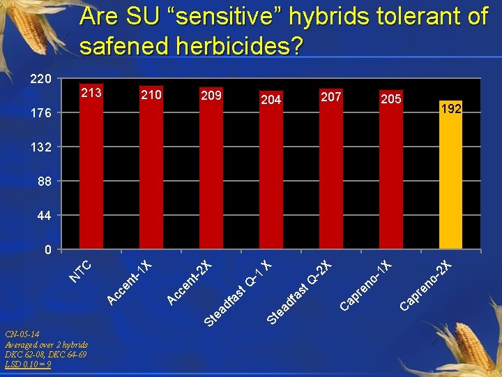 Are SU “sensitive” hybrids tolerant of safened herbicides? 220 213 210 209 207 204