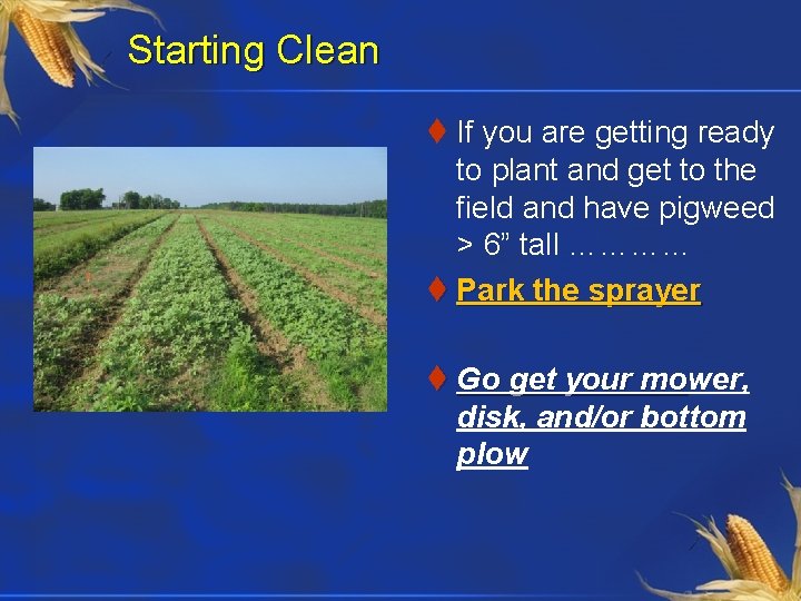 Starting Clean t If you are getting ready to plant and get to the